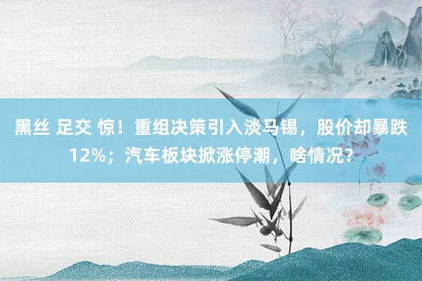 黑丝 足交 惊！重组决策引入淡马锡，股价却暴跌12%；汽车板块掀涨停潮，啥情况？