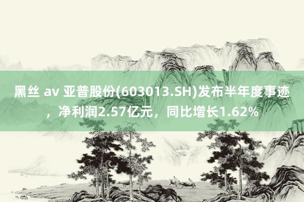 黑丝 av 亚普股份(603013.SH)发布半年度事迹，净利润2.57亿元，同比增长1.62%