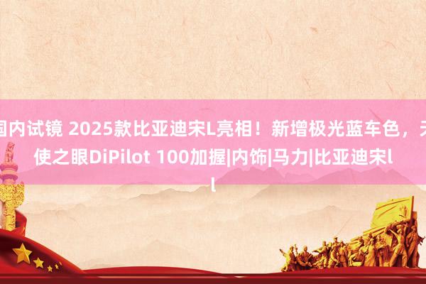 国内试镜 2025款比亚迪宋L亮相！新增极光蓝车色，天使之眼DiPilot 100加握|内饰|马力|比亚迪宋l