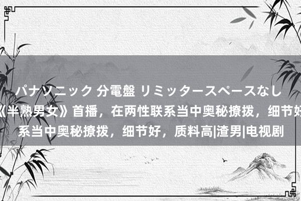 パナソニック 分電盤 リミッタースペースなし 露出・半埋込両用形 《半熟男女》首播，在两性联系当中奥秘撩拨，细节好，质料高|渣男|电视剧